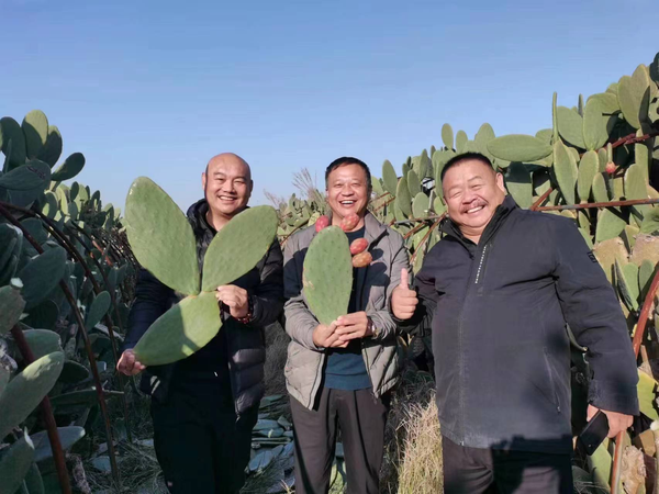 图片3.jpg